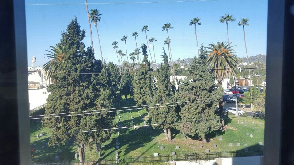 Photo of Hollywood Forever Cemetery