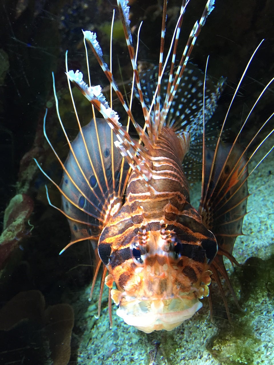 Photo of ZSL London Zoo