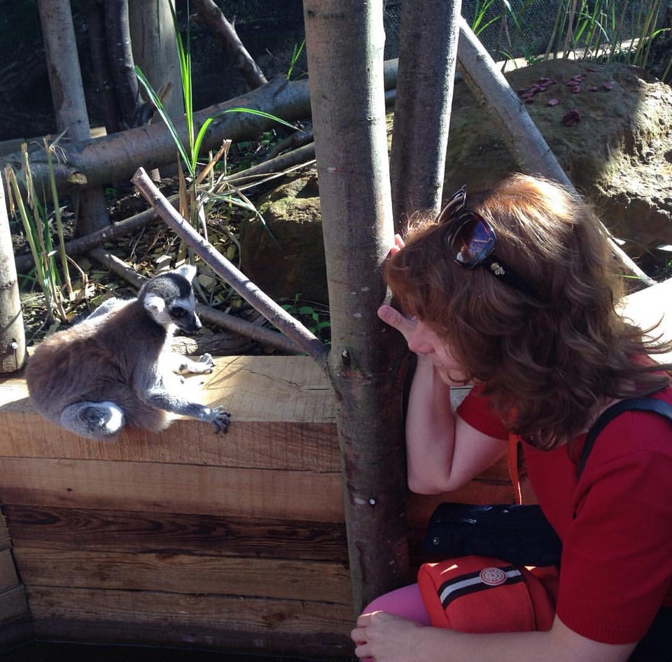 Photo of ZSL London Zoo