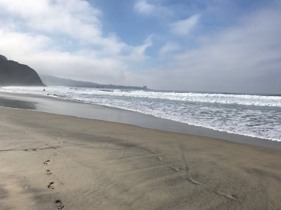 Photo of Black's Beach