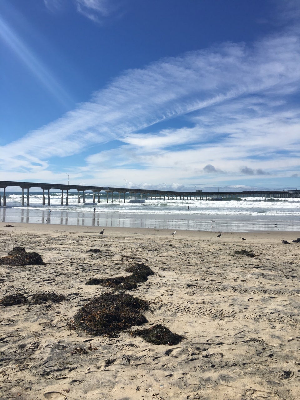 Photo of Ocean Beach