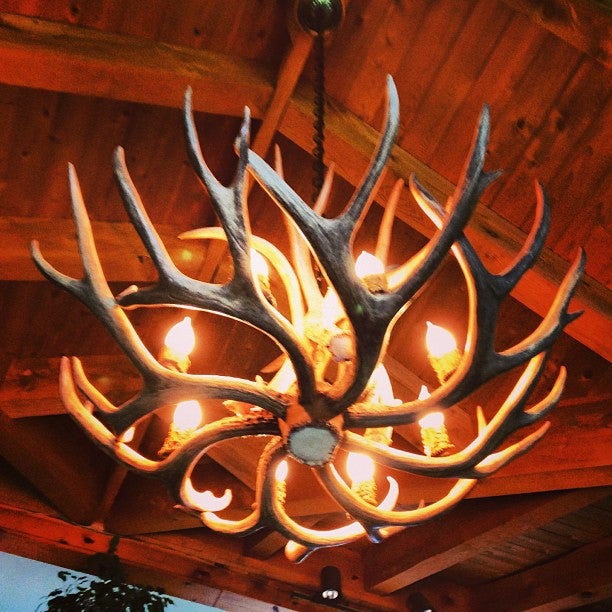 Photo of Moose Meadow Lodge