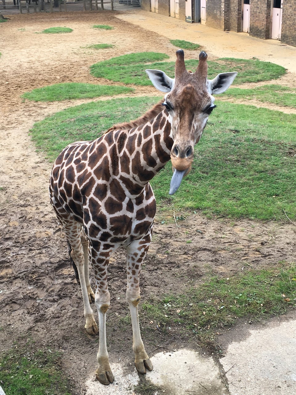 Photo of ZSL London Zoo