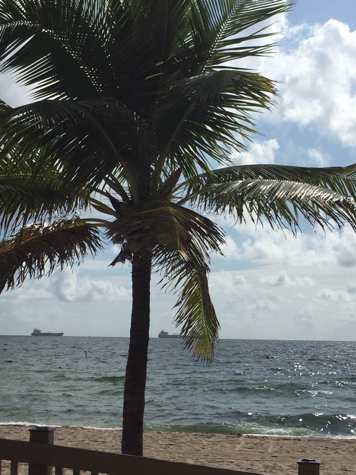 Photo of Sebastian Street Beach