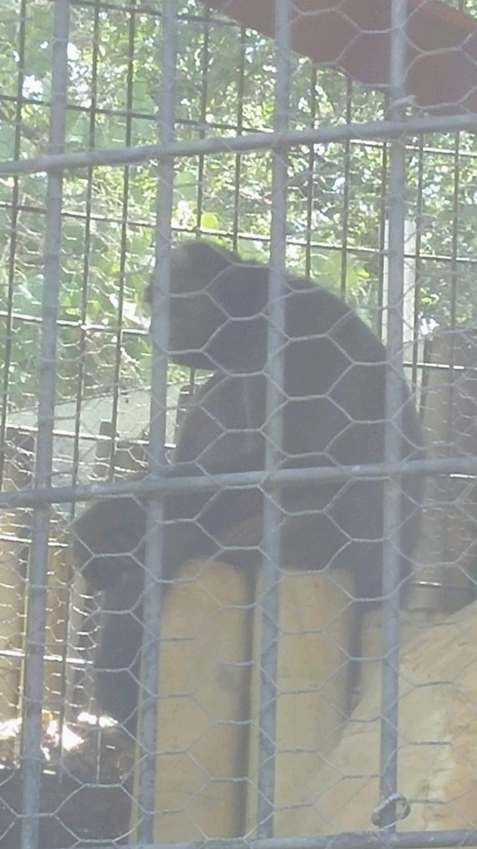 Photo of ABQ BioPark Zoo