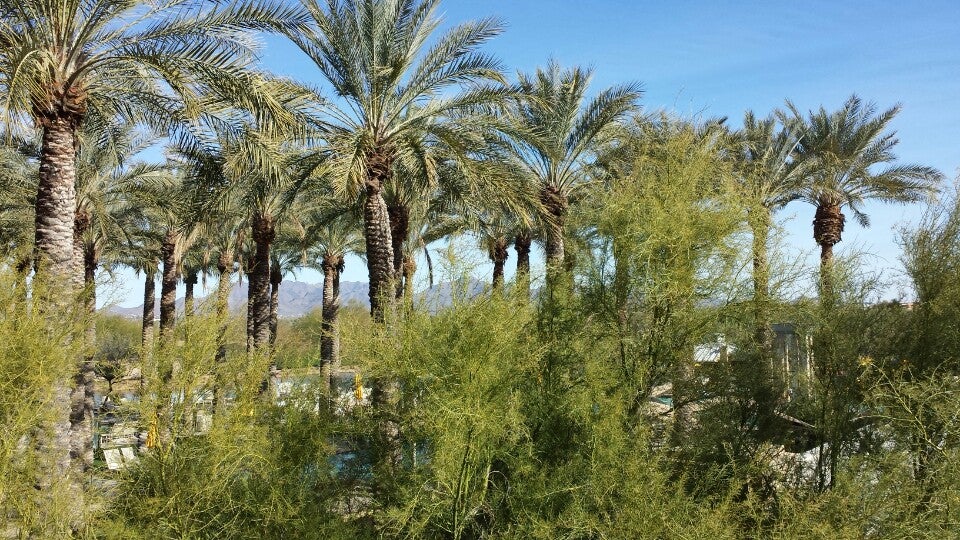 Photo of JW Marriott Desert Ridge Resort & Spa