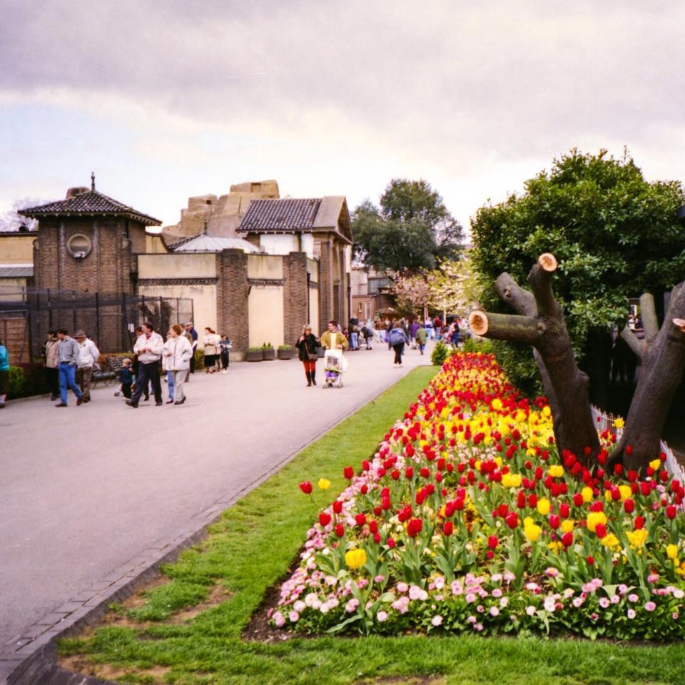 Photo of ZSL London Zoo