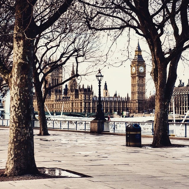 Photo of Palace of Westminster (Houses of Parliament)