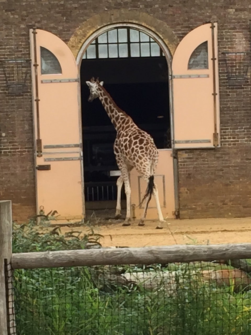 Photo of ZSL London Zoo