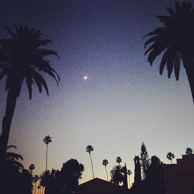 Photo of Hollywood Forever Cemetery