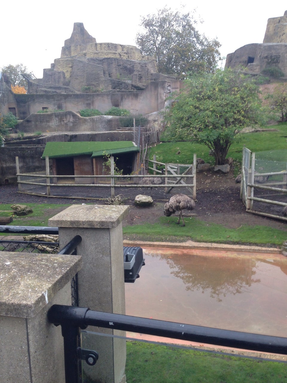 Photo of ZSL London Zoo