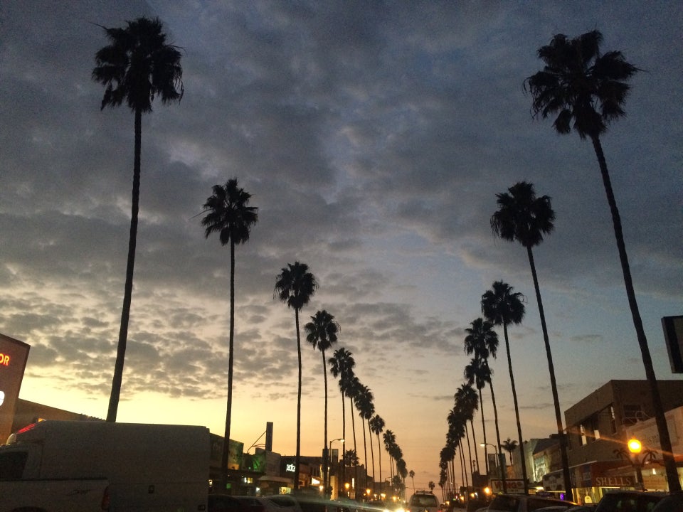 Photo of Ocean Beach