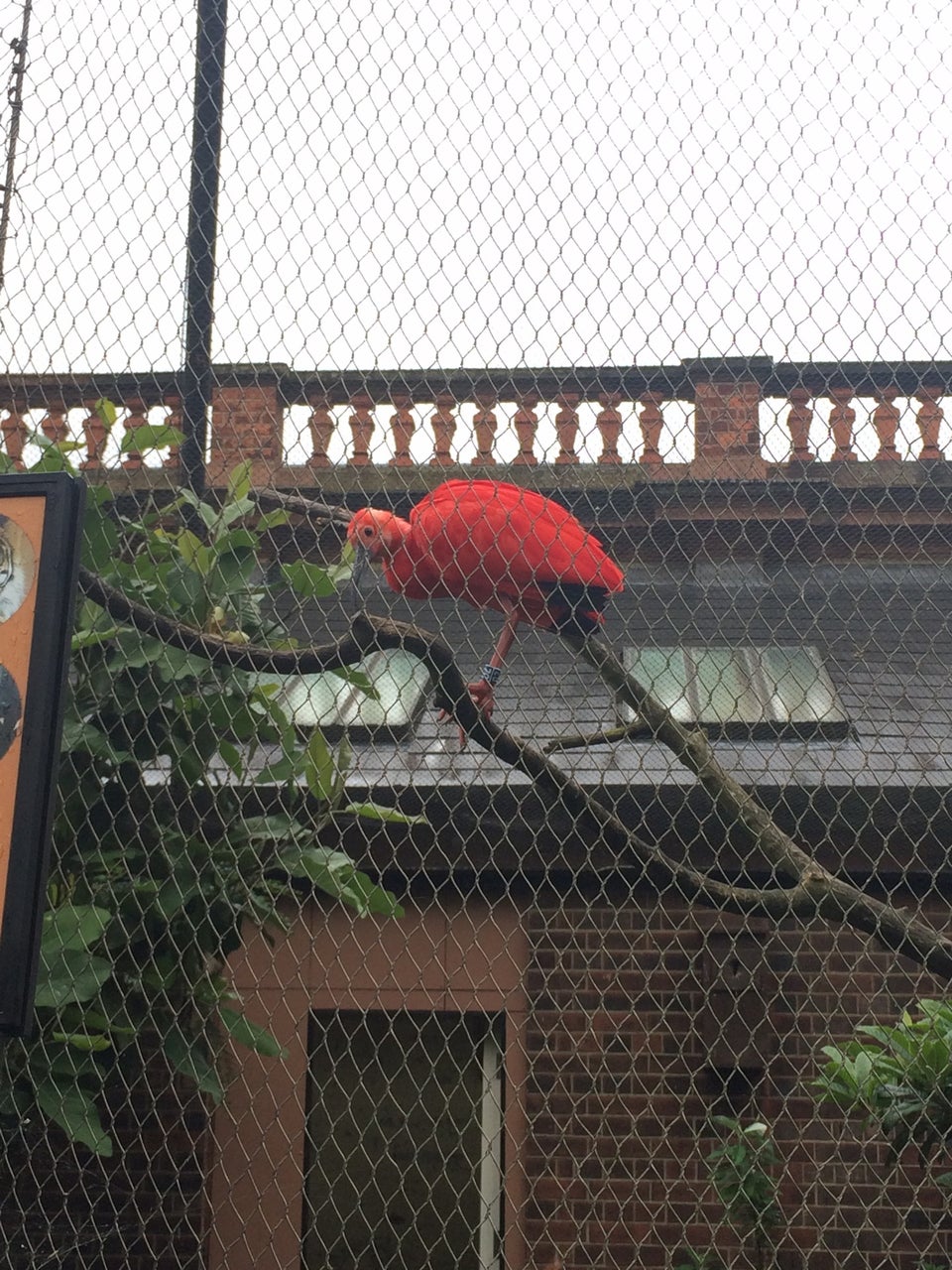 Photo of ZSL London Zoo