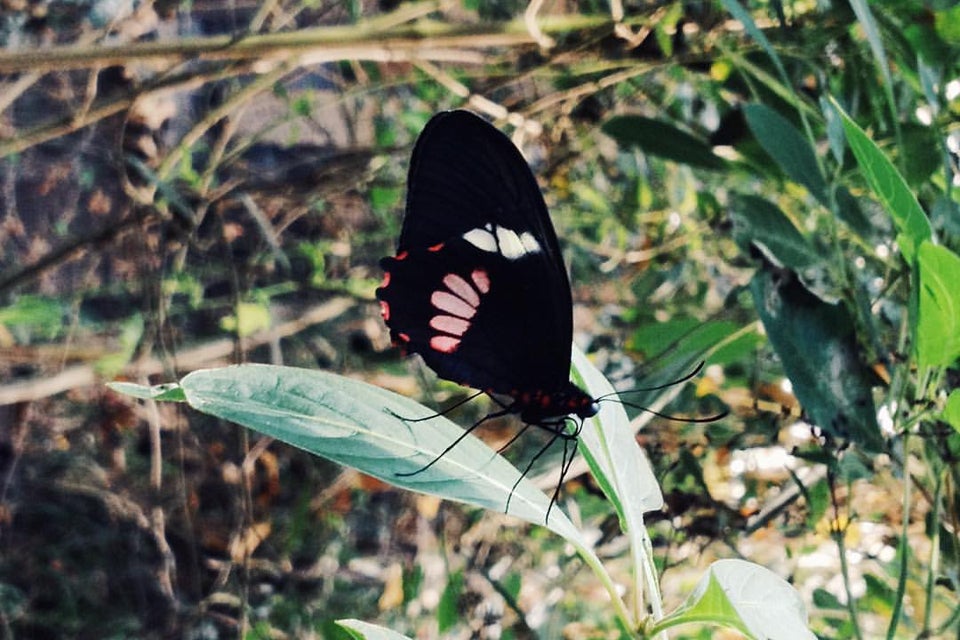 Photo of ZSL London Zoo