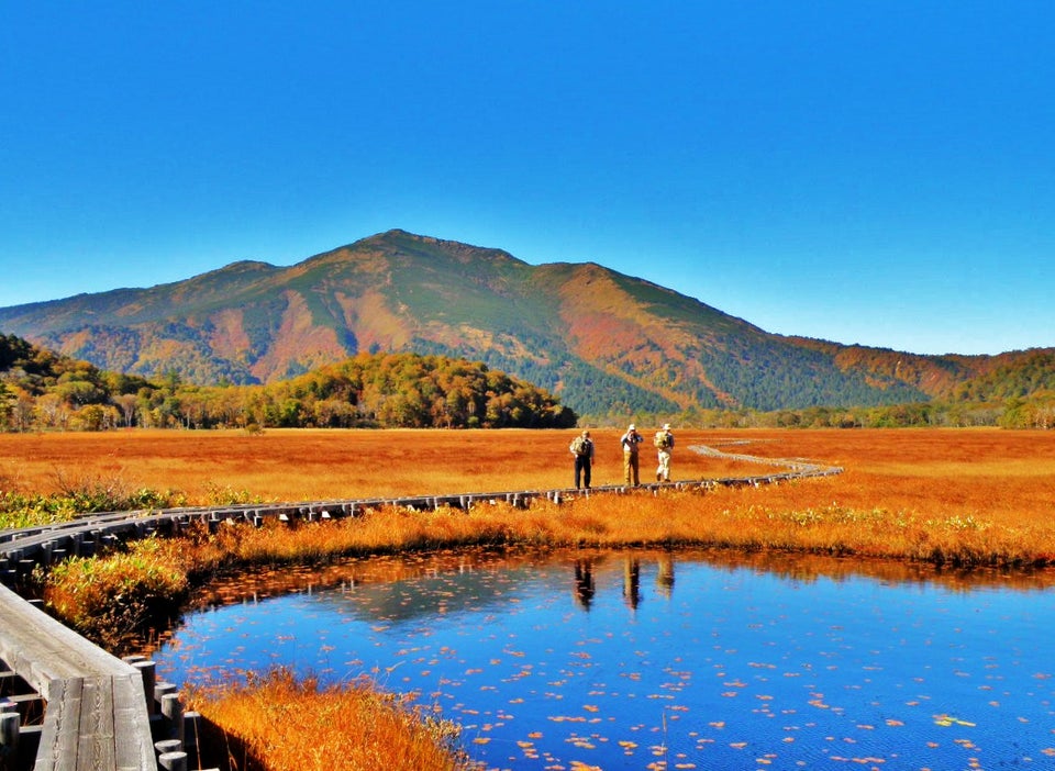 Oze National Park