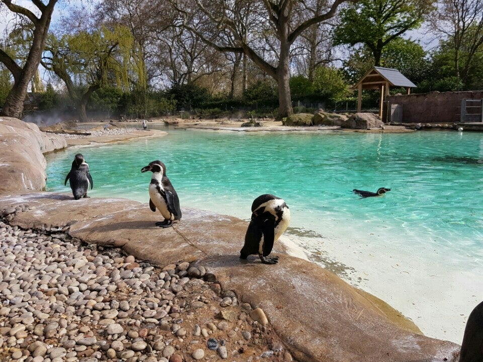 Photo of ZSL London Zoo