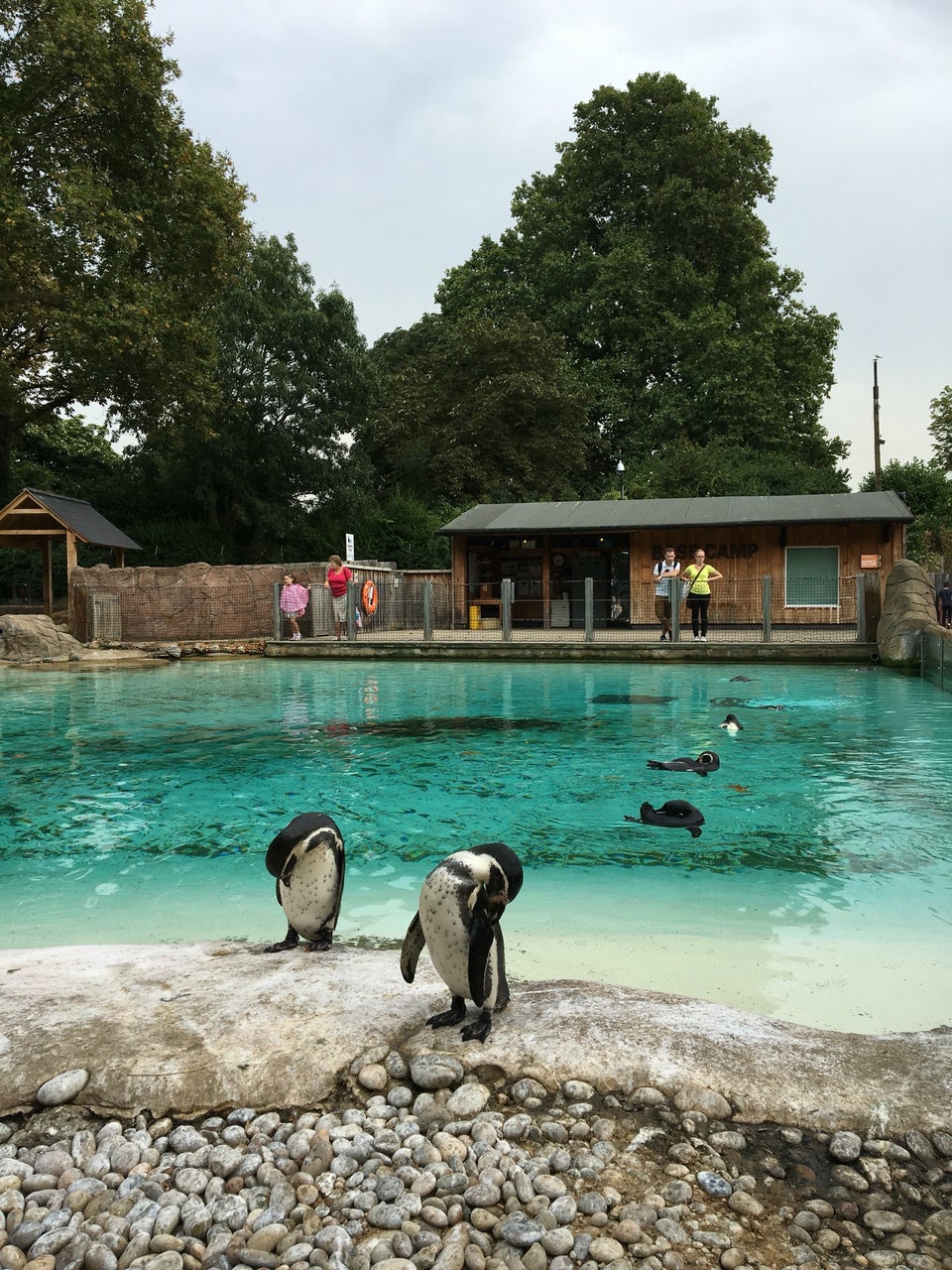 Photo of ZSL London Zoo