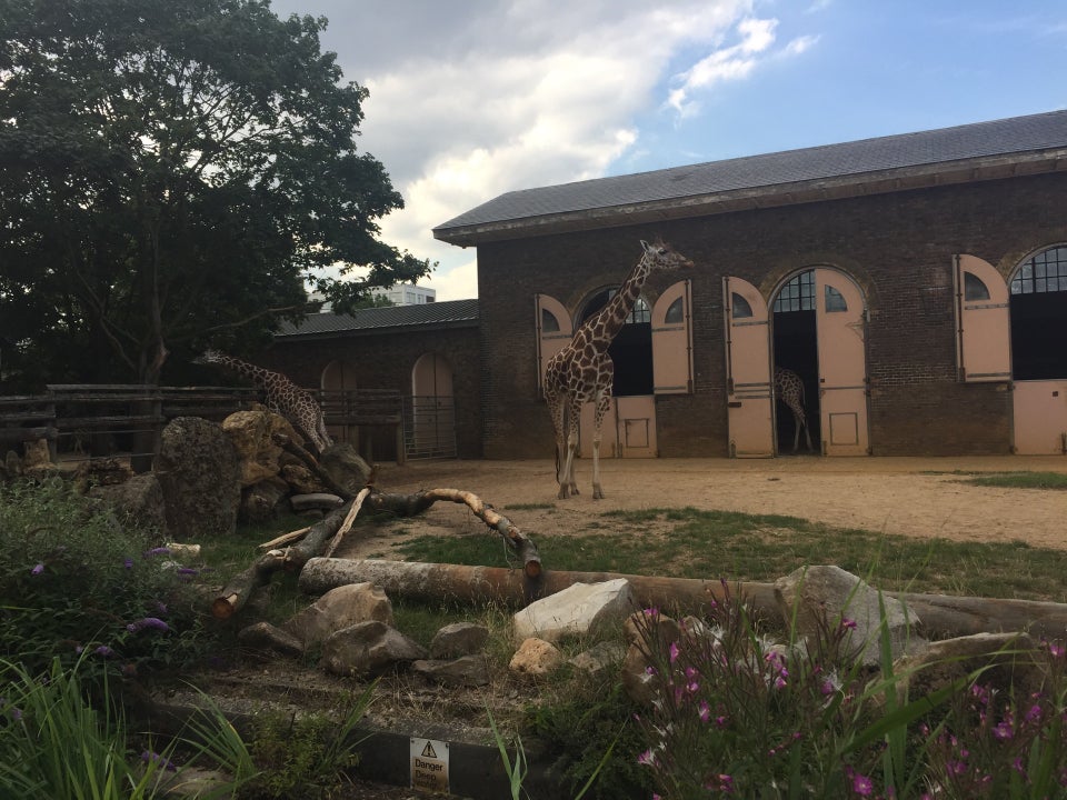 Photo of ZSL London Zoo