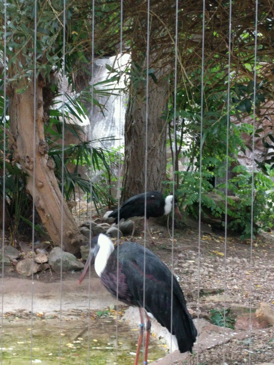 Photo of ZSL London Zoo