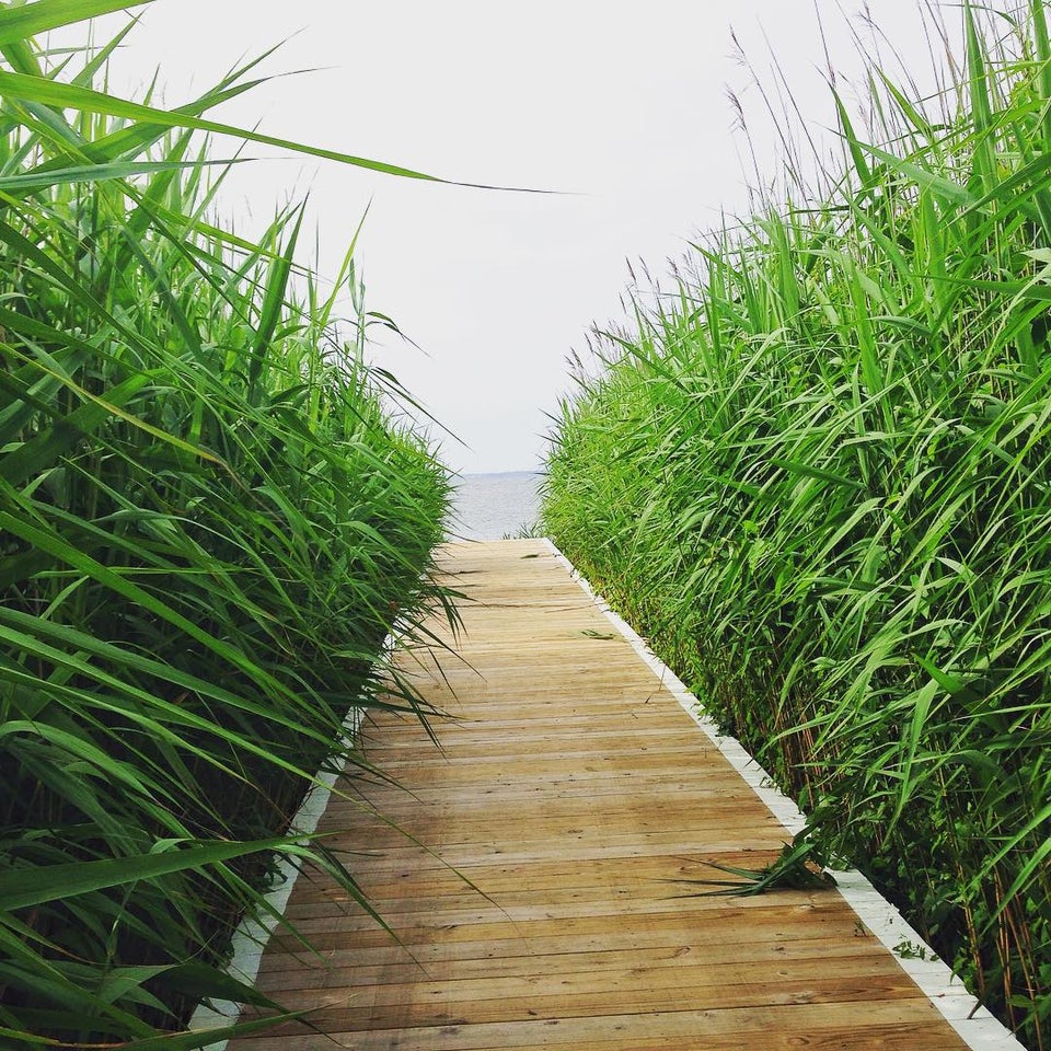 Photo of Cherry Grove Beach