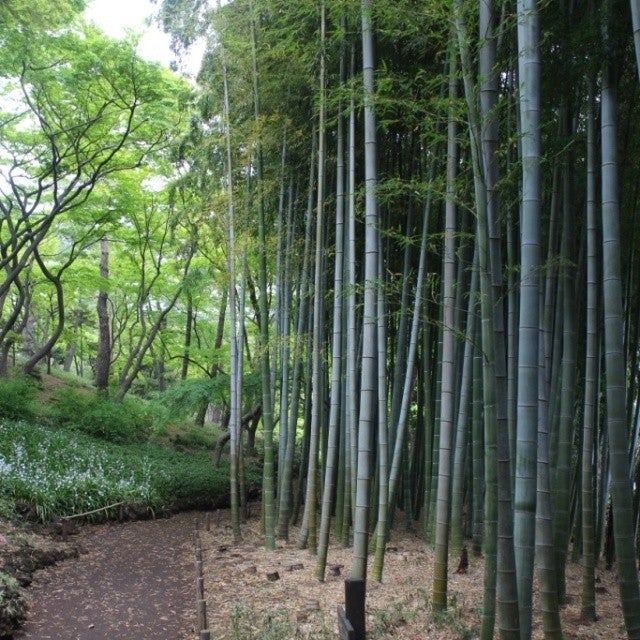 Tonogayato Garden