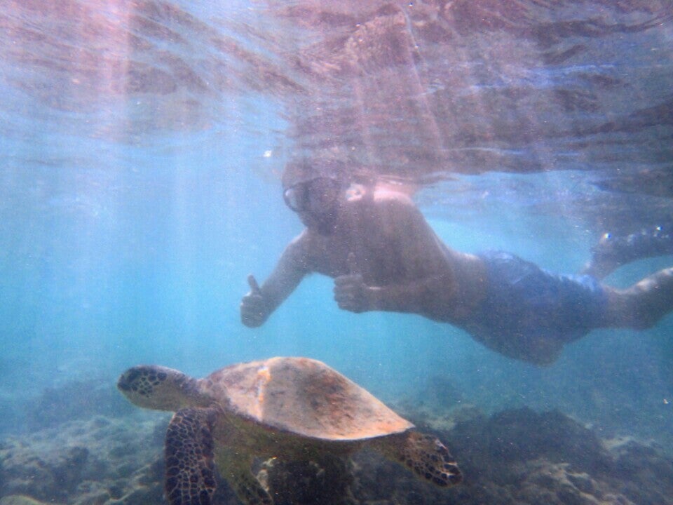 Photo of Hanauma Bay Nature Preserve