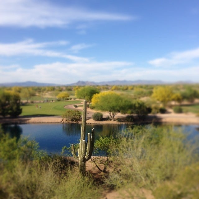 Photo of JW Marriott Desert Ridge Resort & Spa