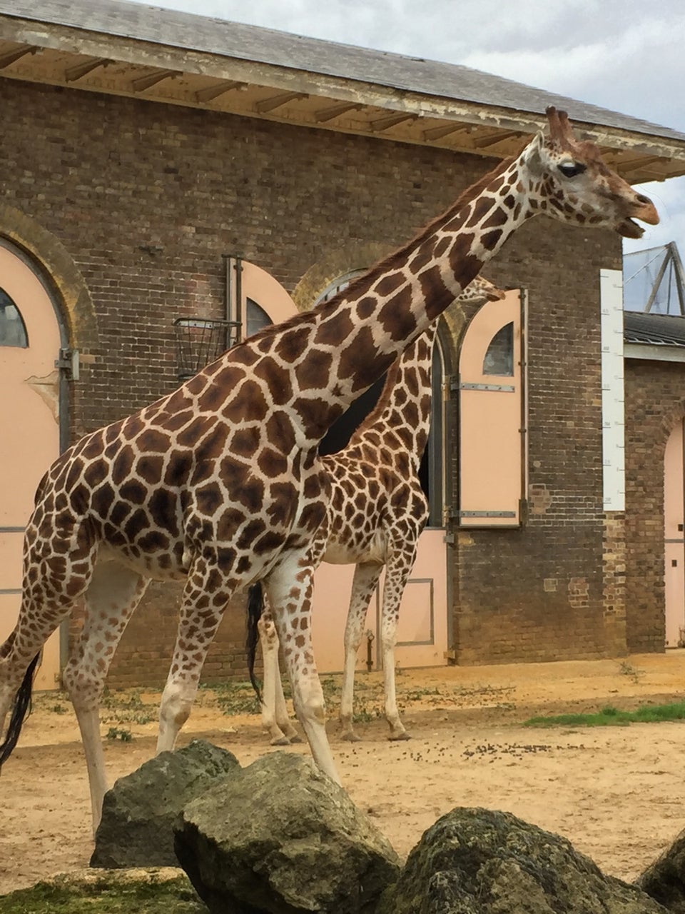 Photo of ZSL London Zoo