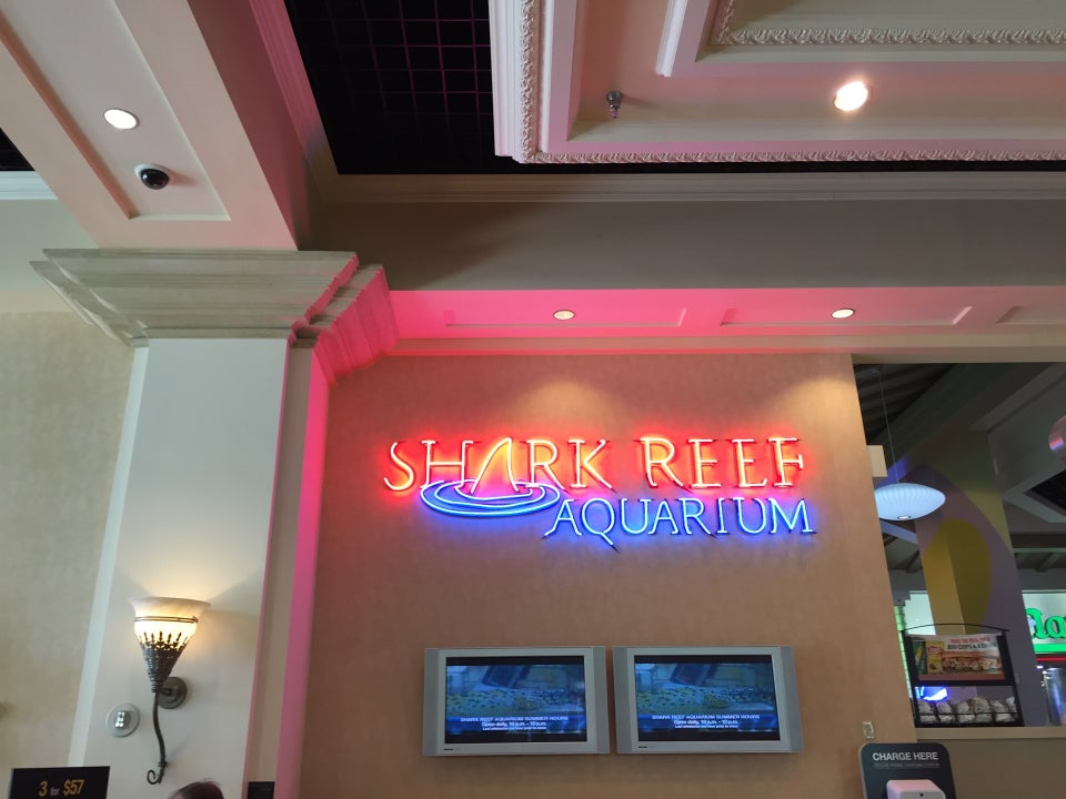 Photo of Shark Reef