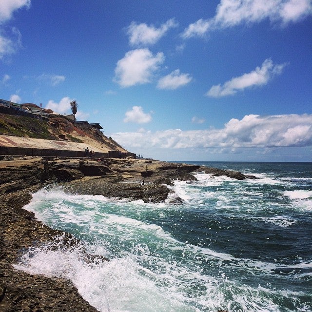 Photo of Ocean Beach