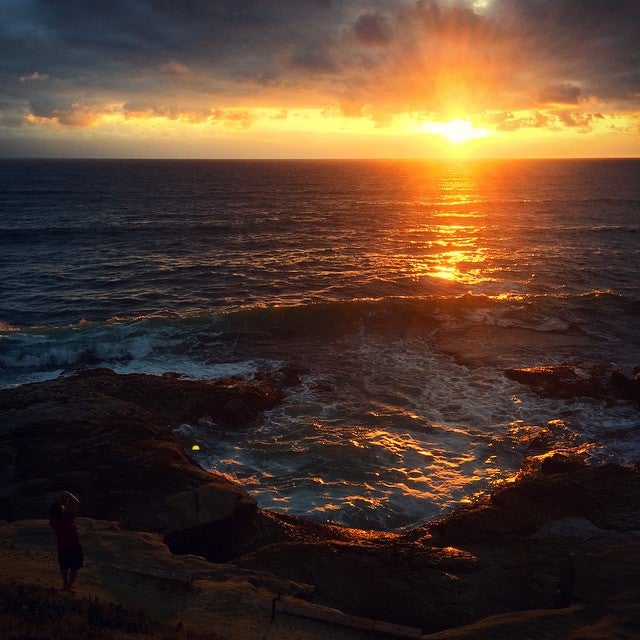 Photo of Ocean Beach