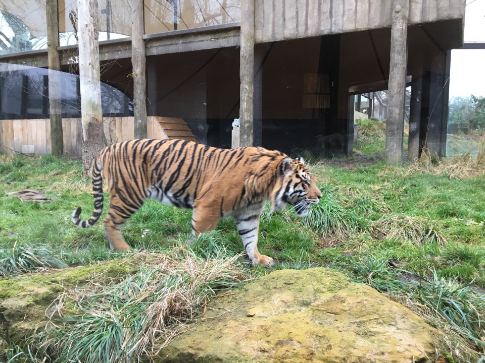 Photo of ZSL London Zoo