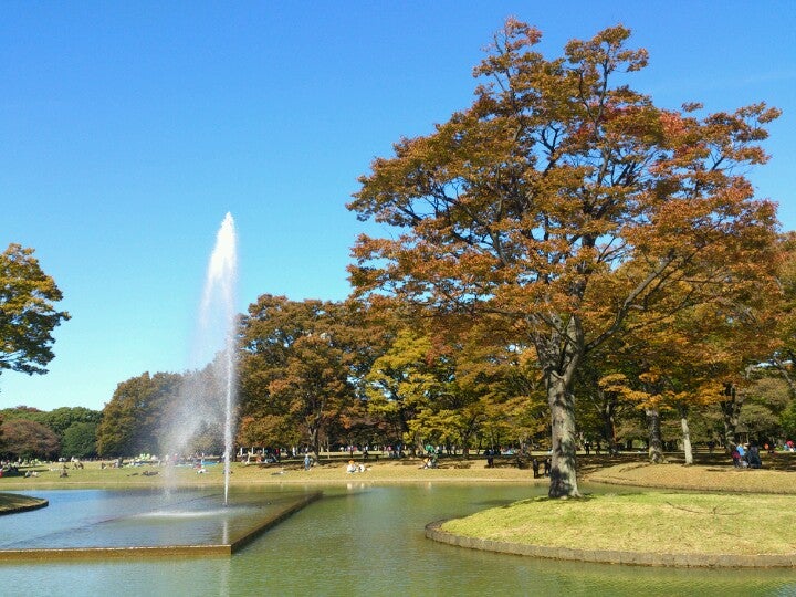 Yoyogi Koen (Park)