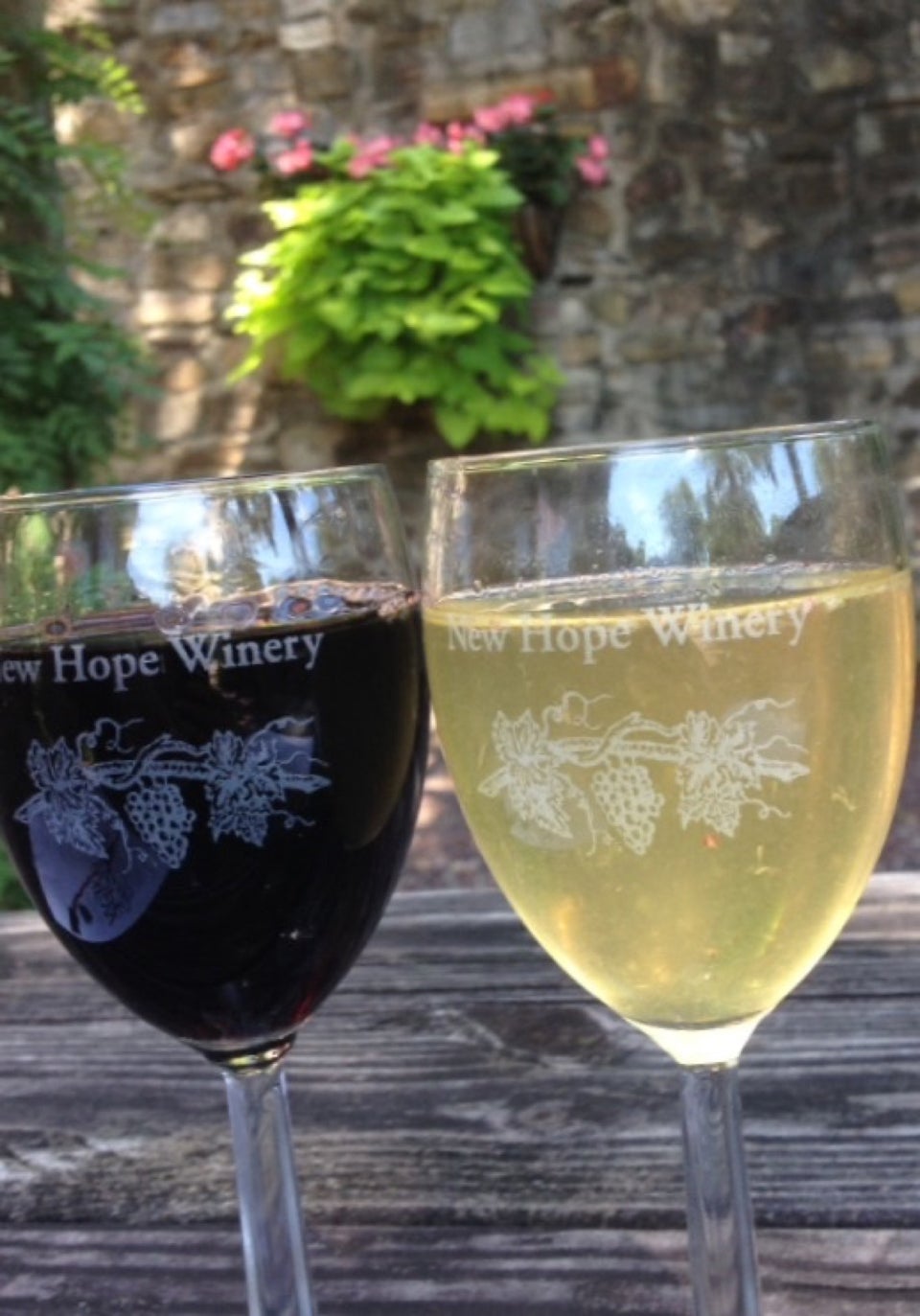 Photo of New Hope Winery