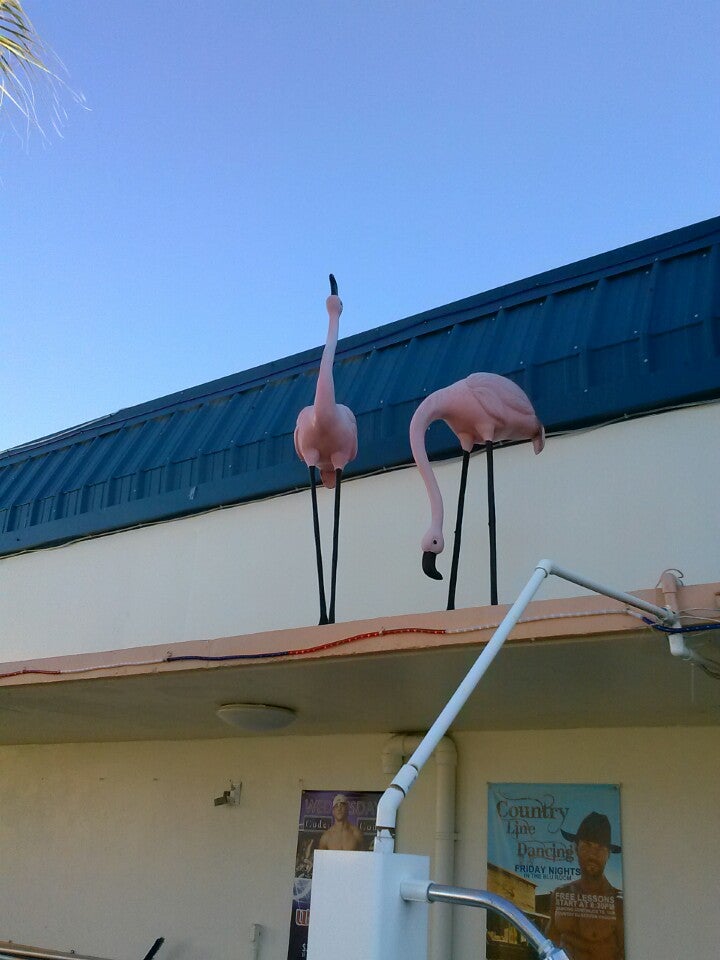 Photo of Flamingo Resort
