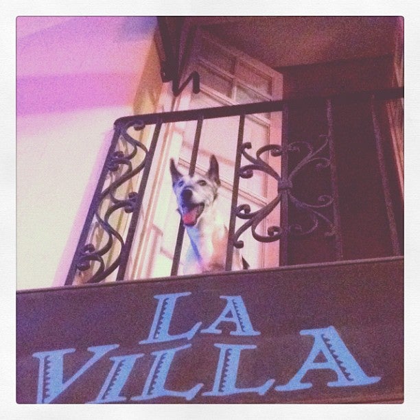 Photo of La Villa