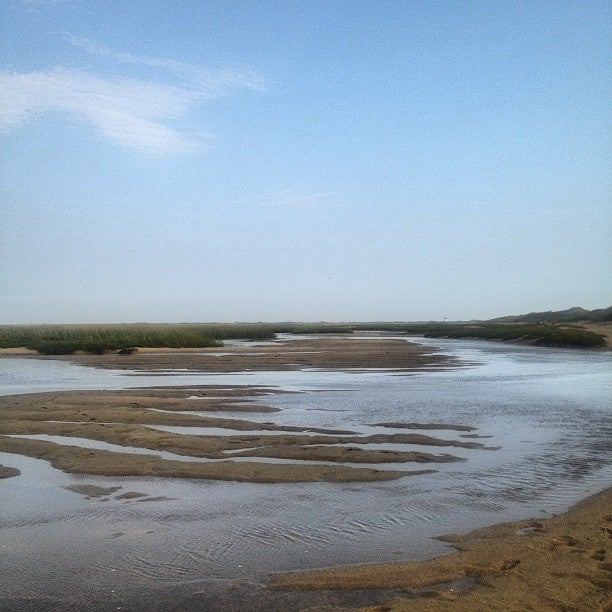 Photo of Herring Cove Beach