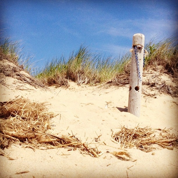 Photo of Herring Cove Beach