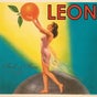 LEON LEON