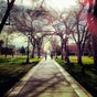 Colorado College Colorado College