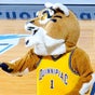 Quinnipiac University Quinnipiac University