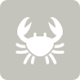 Portland Lobster Company Portland Lobster Company