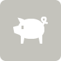Porkchop Porkchop